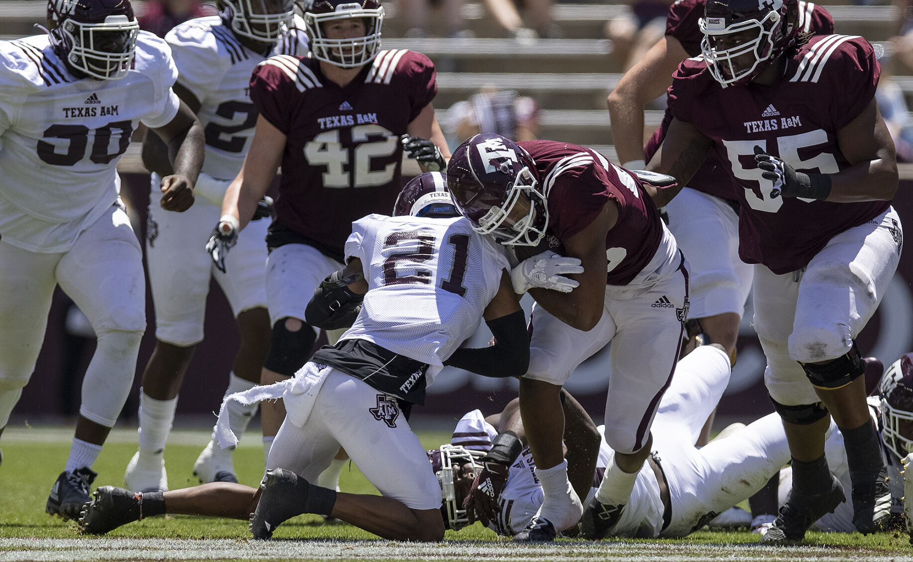 Maroon & White